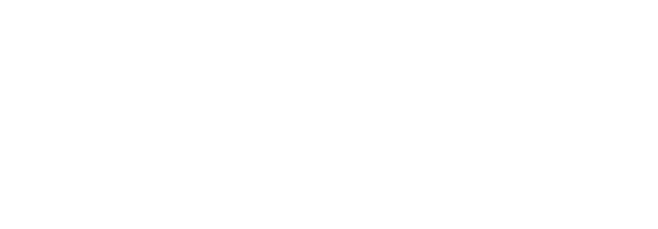 Globevisa Group